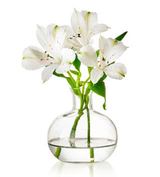 vaso-flores